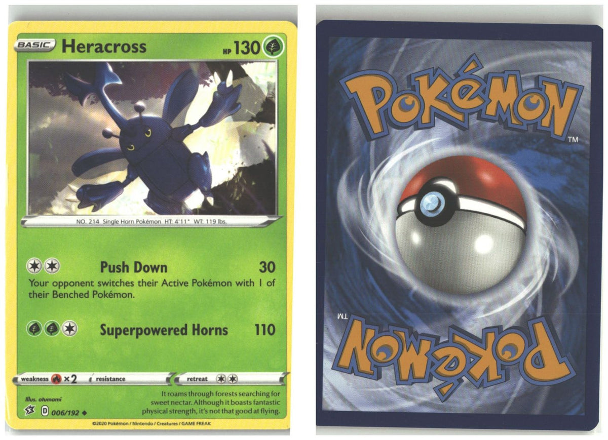Front + Back scan