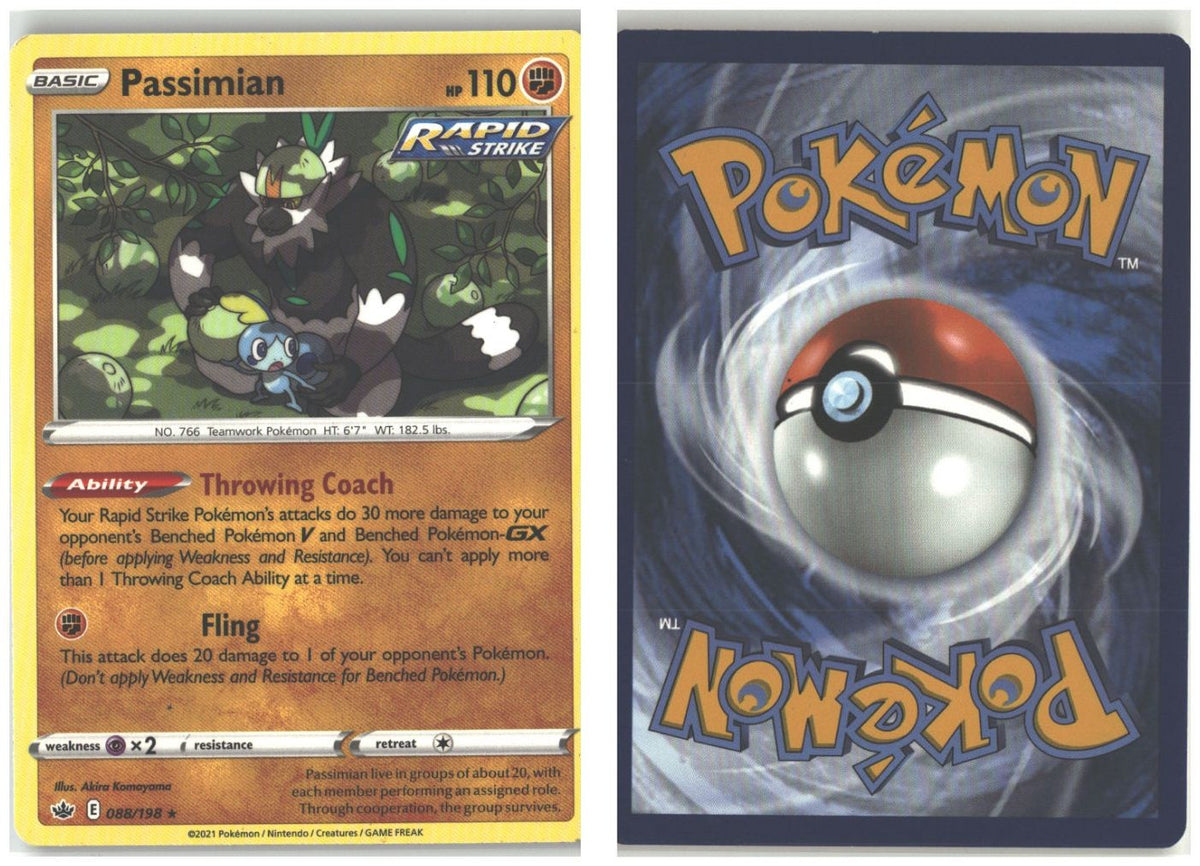 Front + Back scan