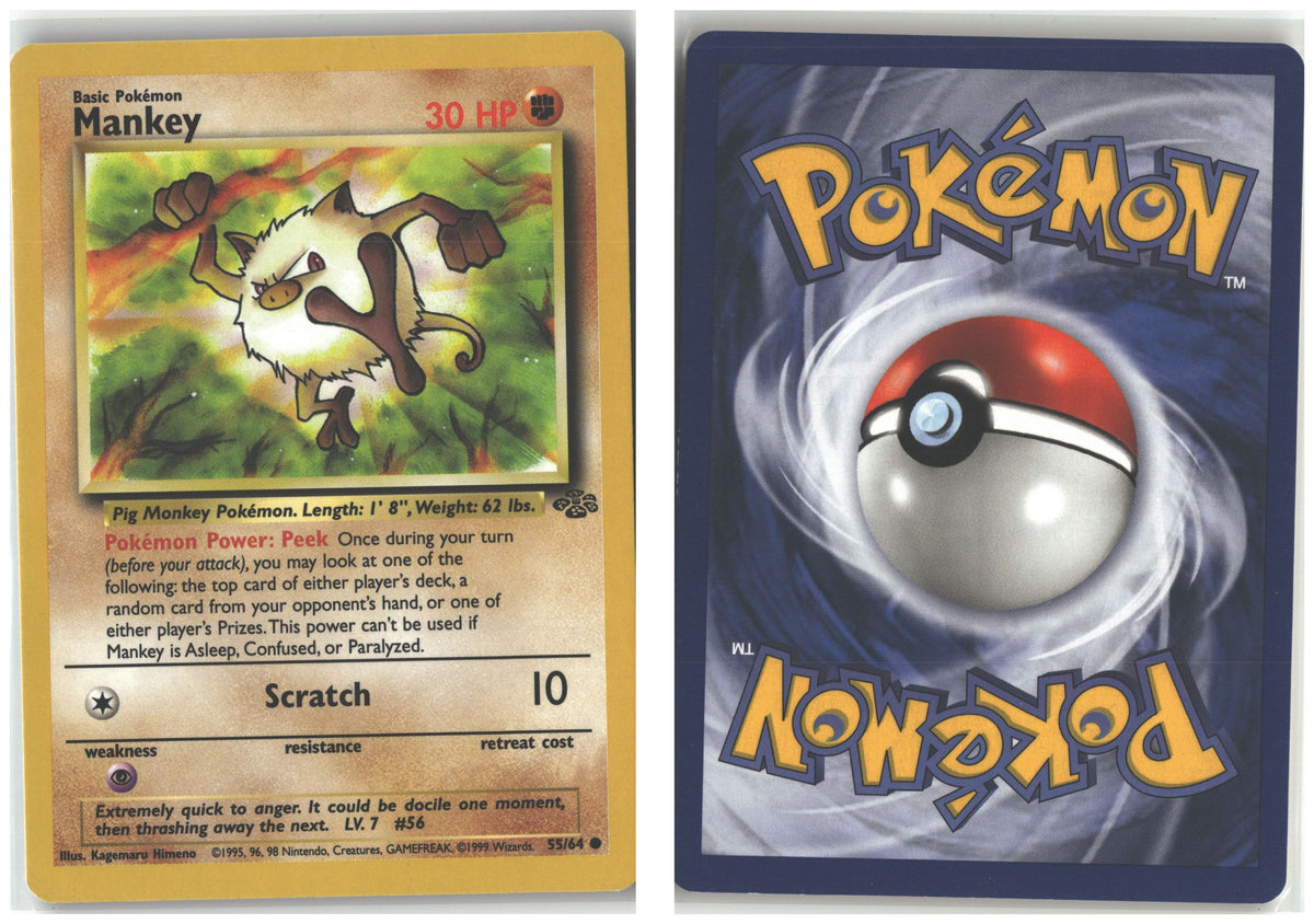Front + Back scan