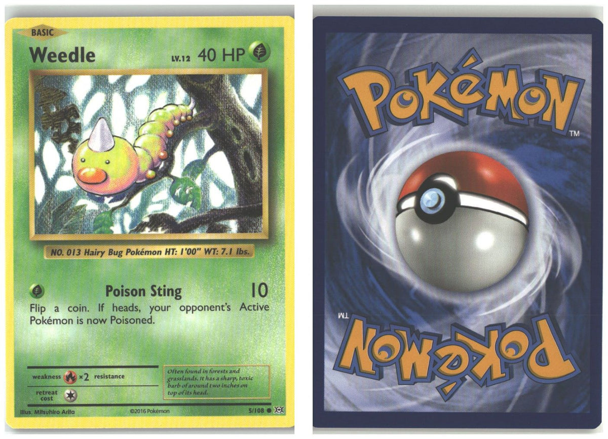 Front + Back scan