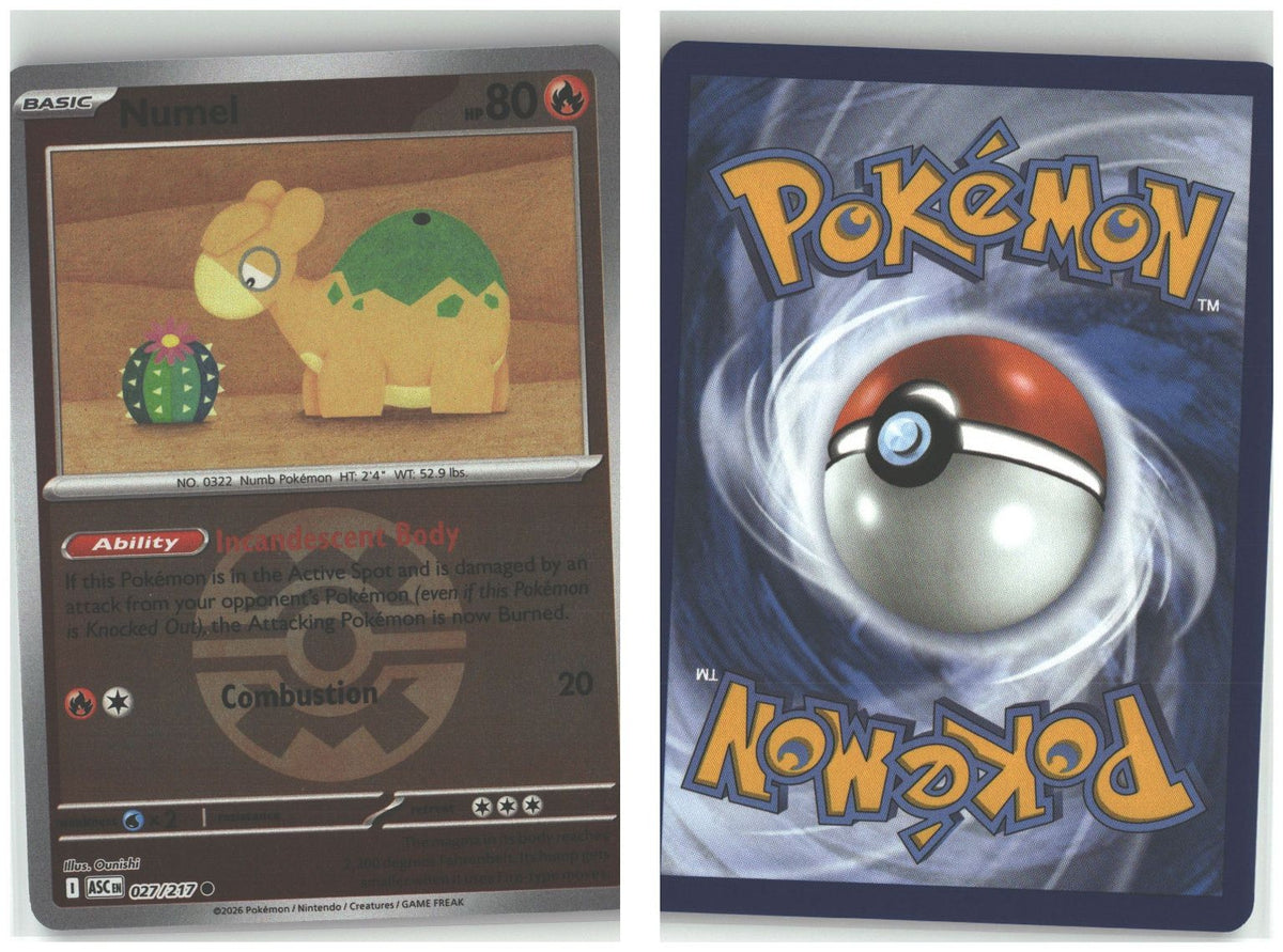 Front + Back scan