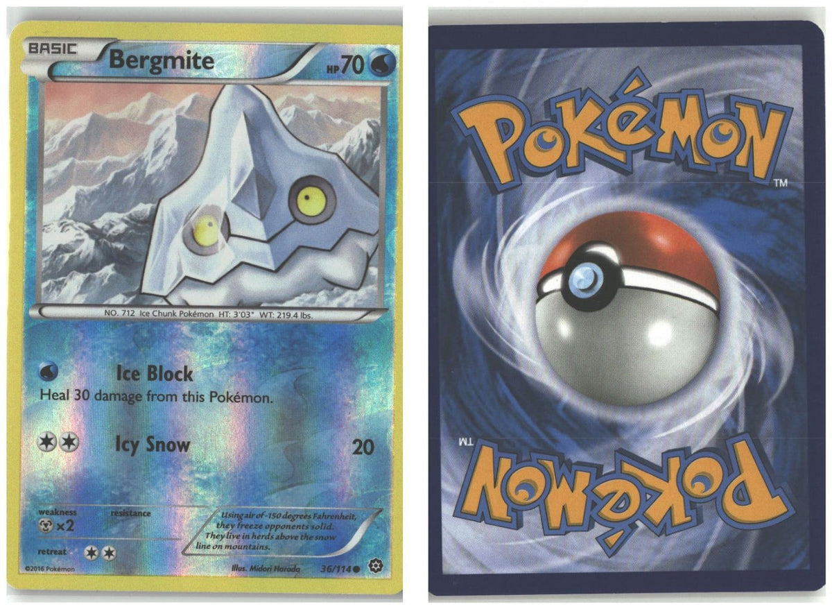 Front + Back scan