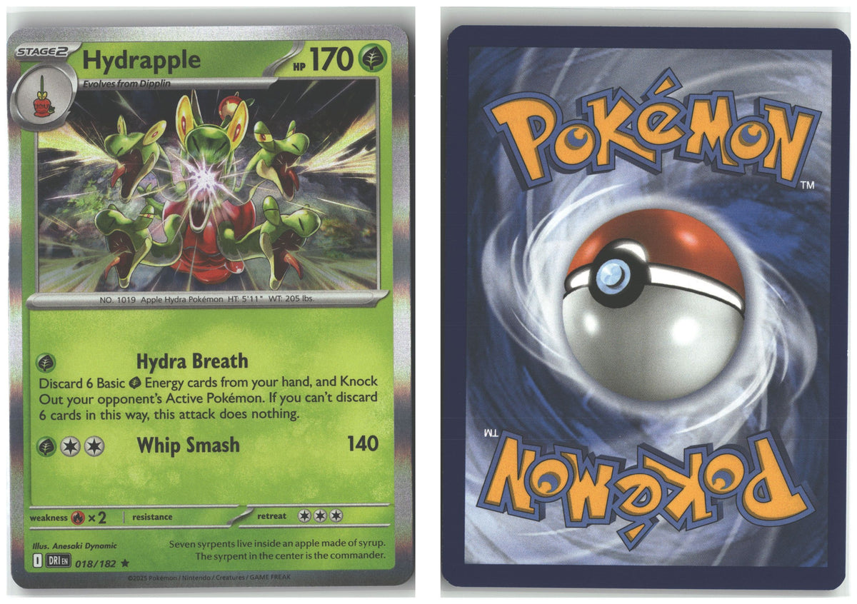 Front + Back scan