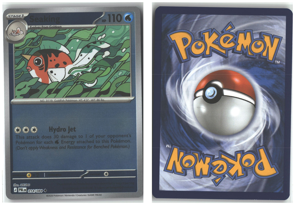Front + Back scan