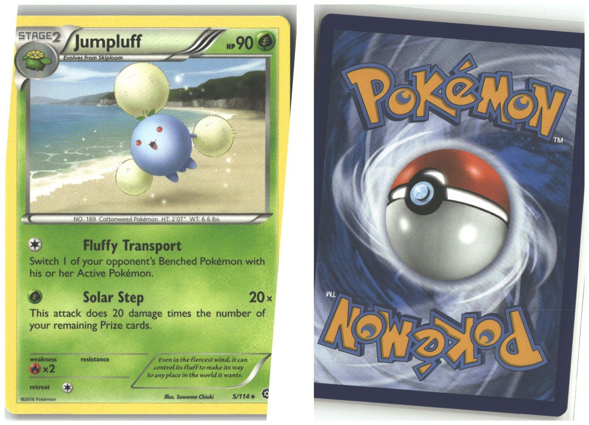 Front + Back scan