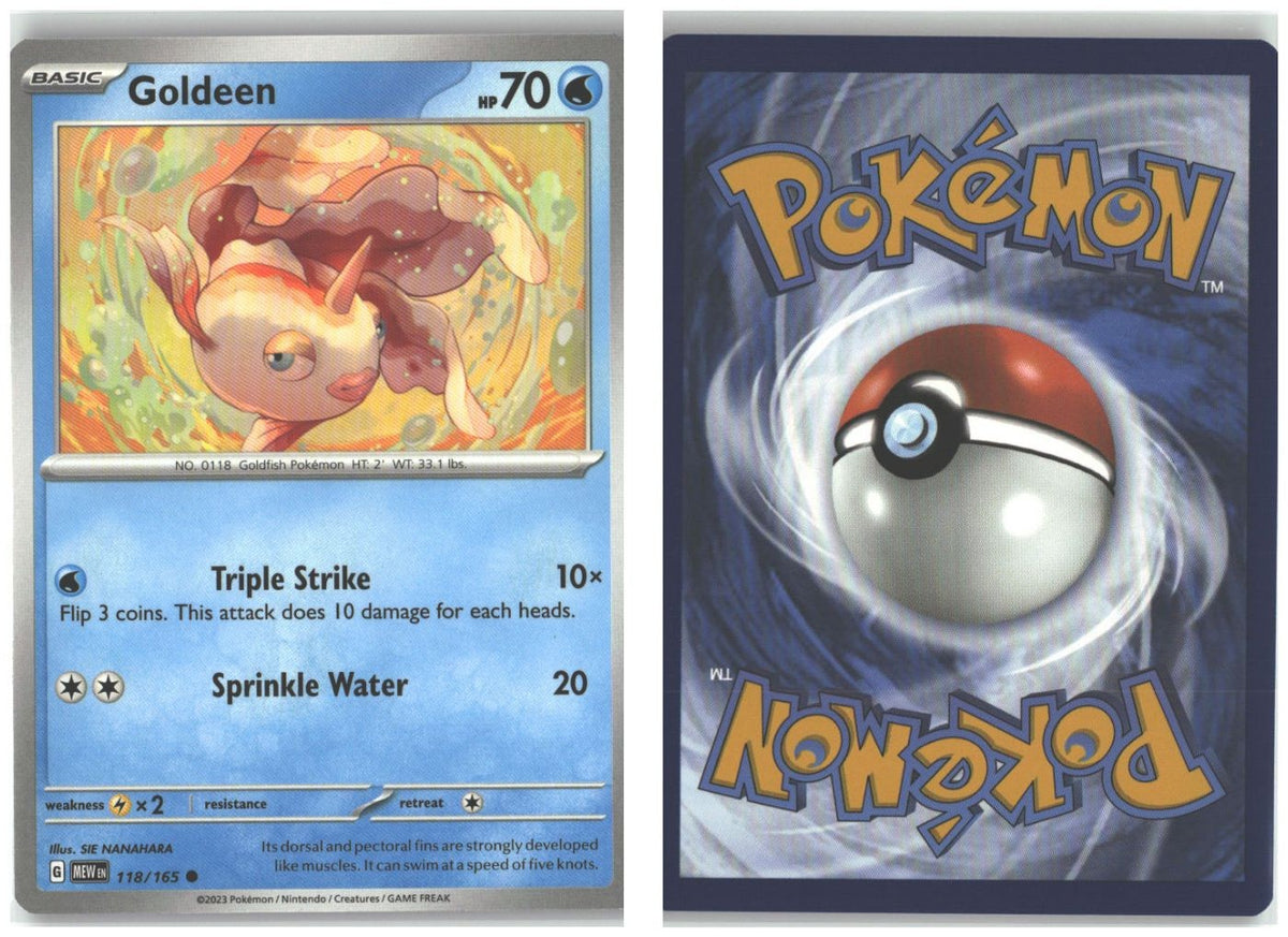 Front + Back scan