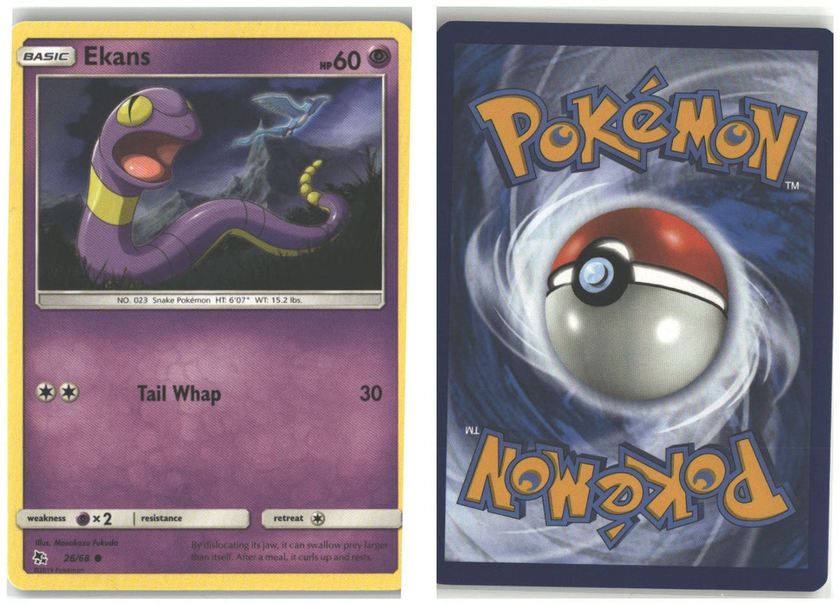 Front + Back scan