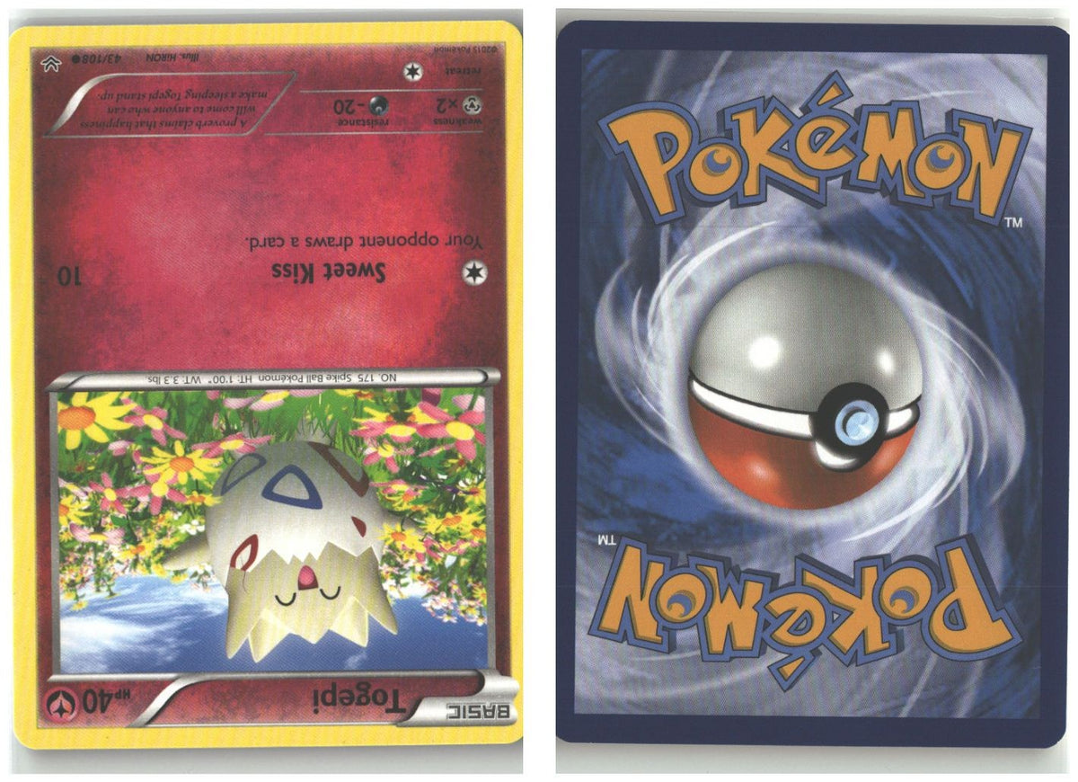 Front + Back scan