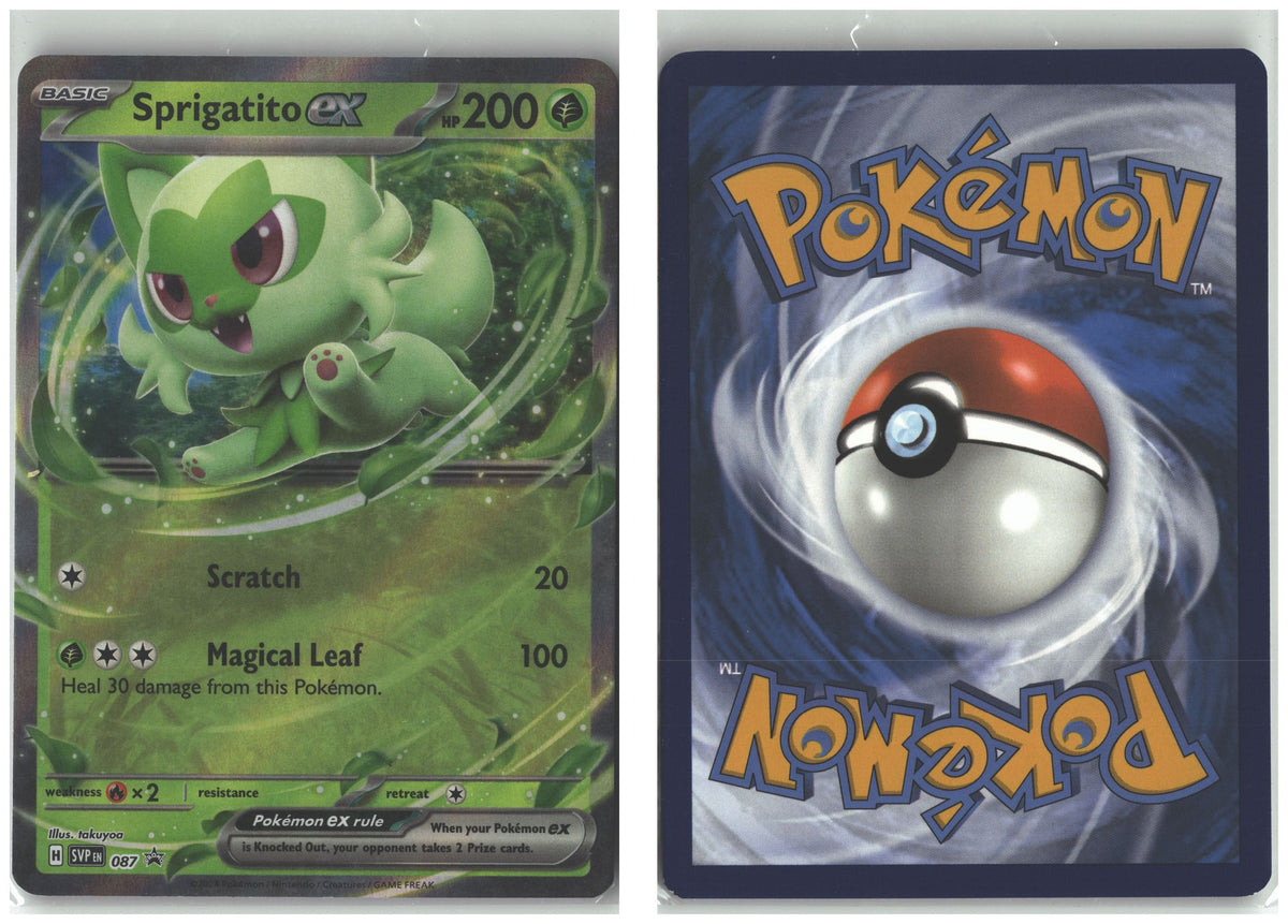 Front + Back scan