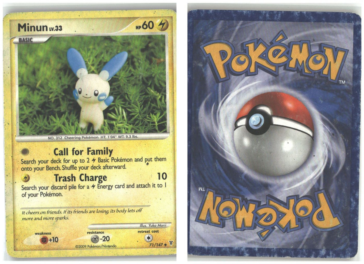 Front + Back scan