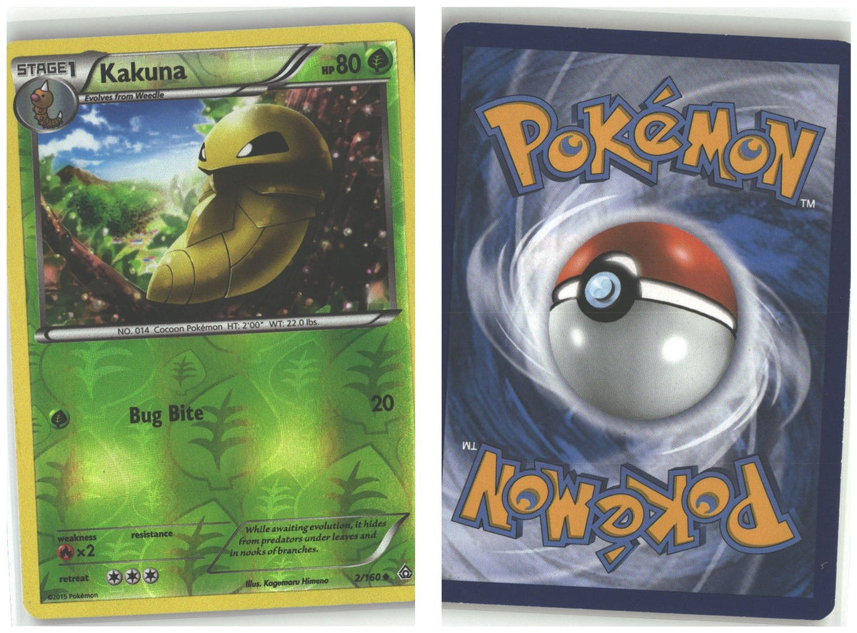 Front + Back scan