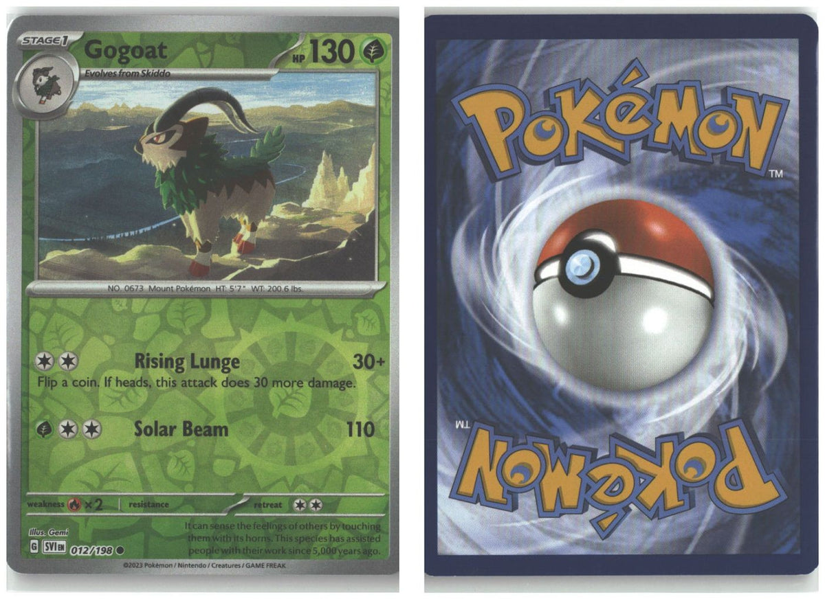 Front + Back scan