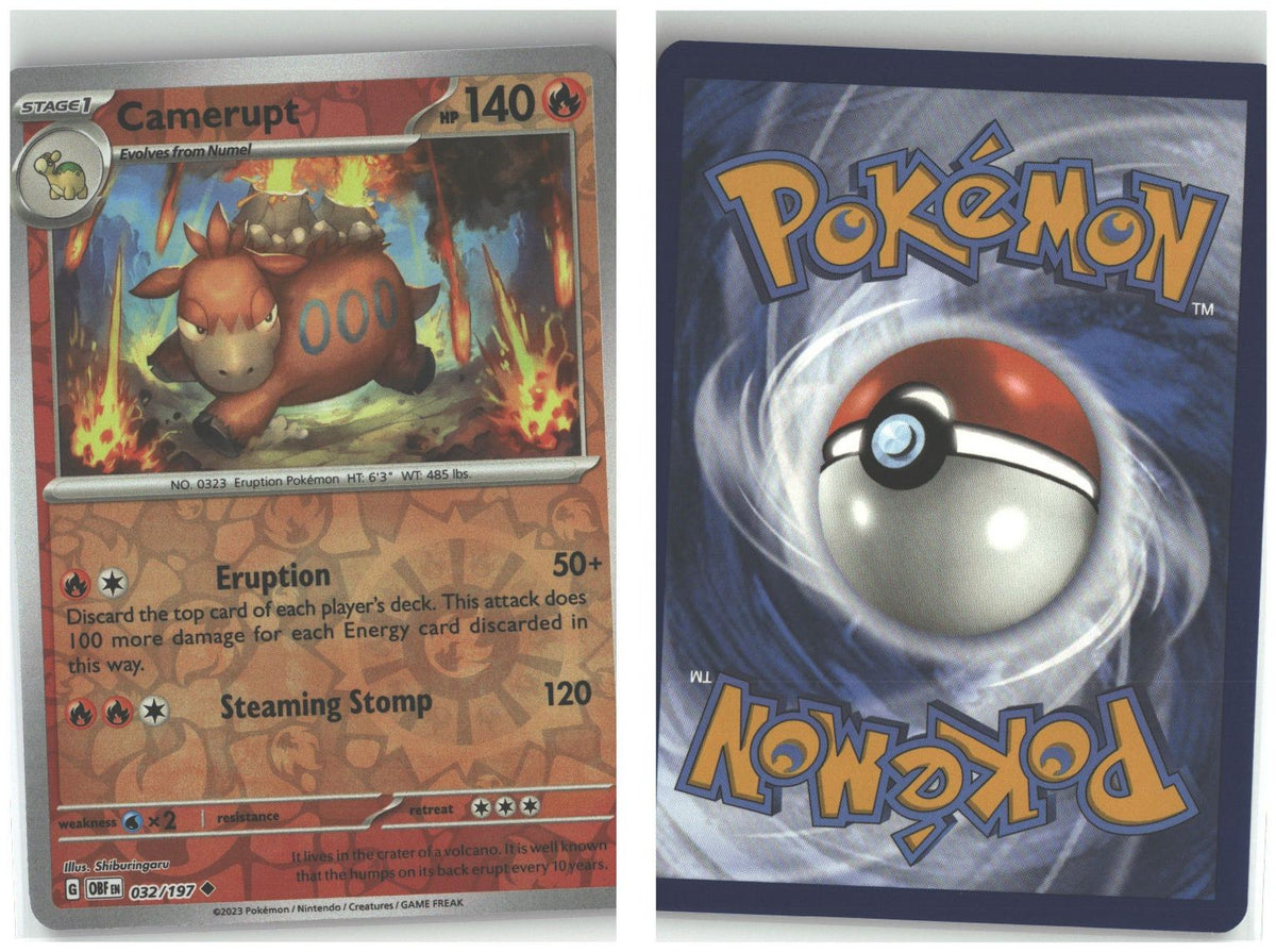 Front + Back scan