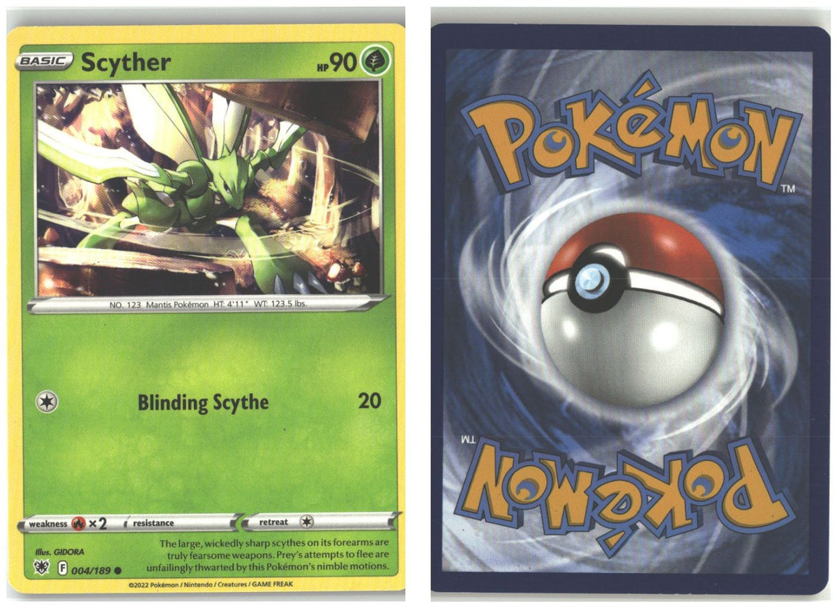 Front + Back scan