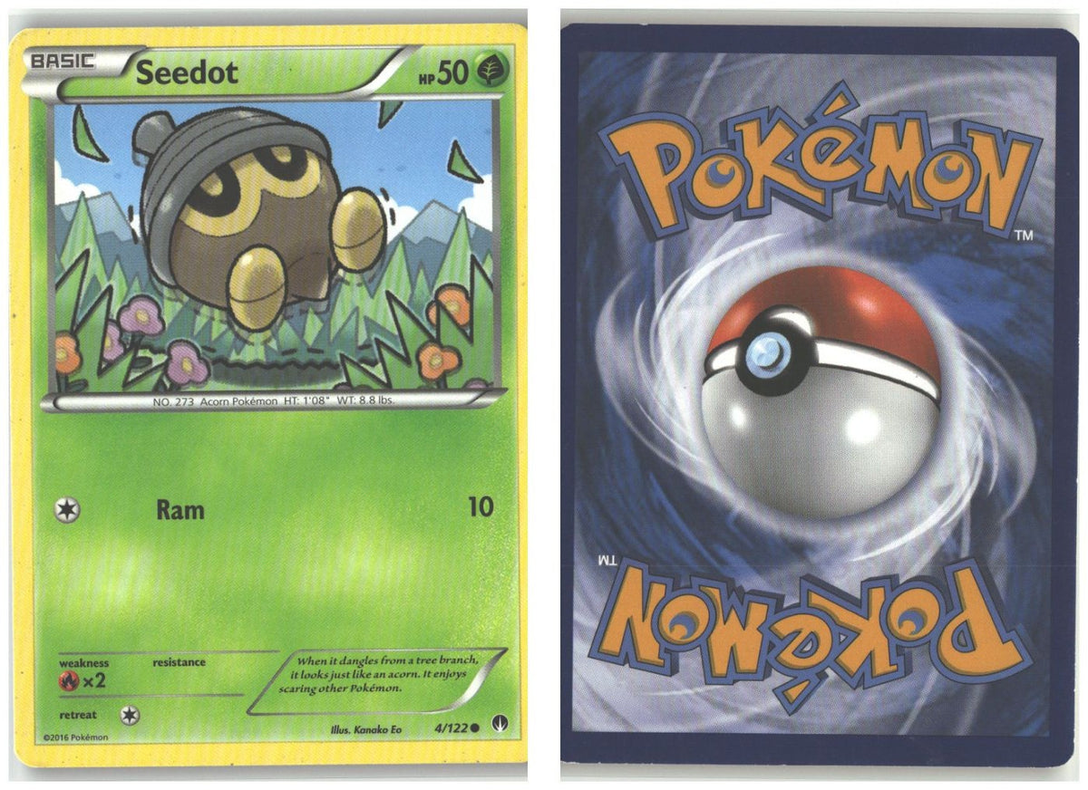 Front + Back scan