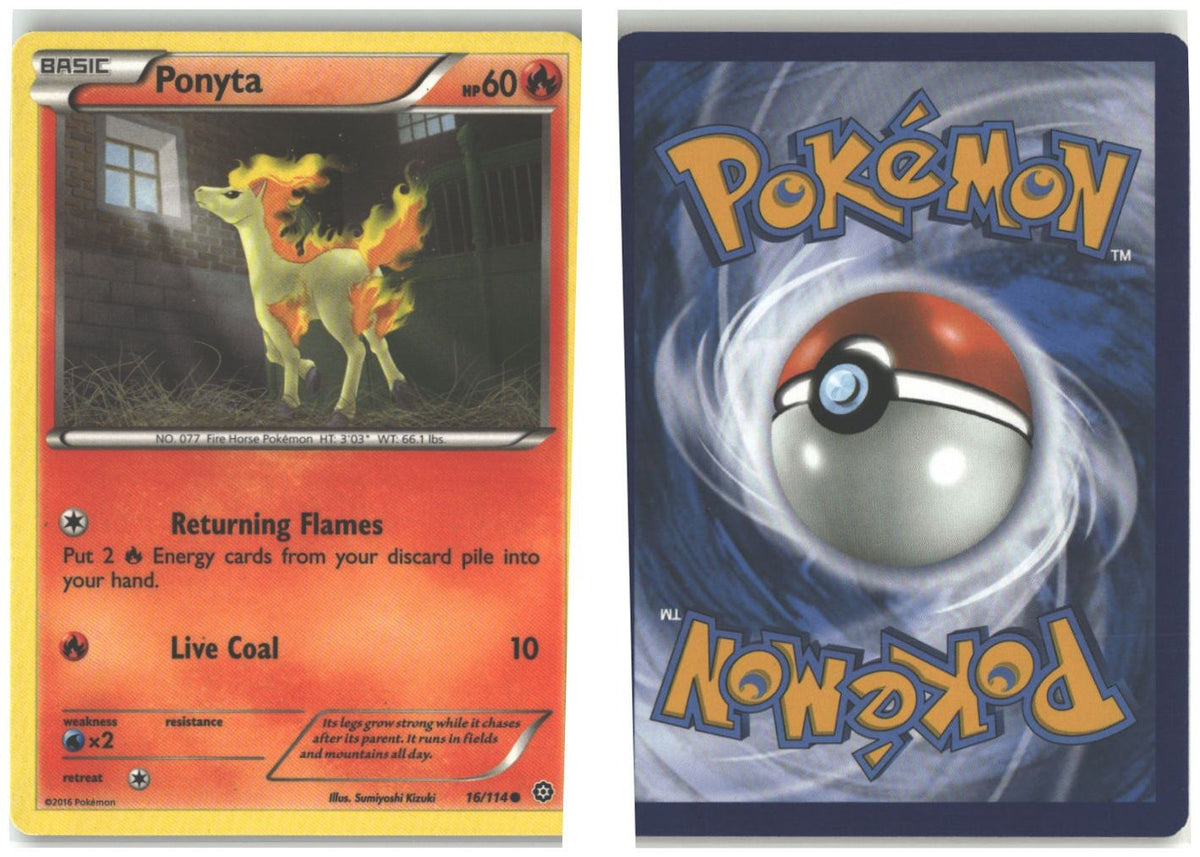 Front + Back scan