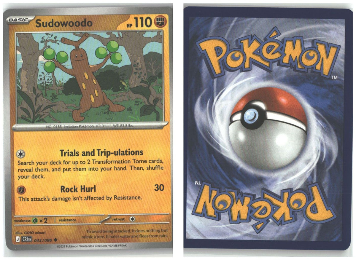 Front + Back scan