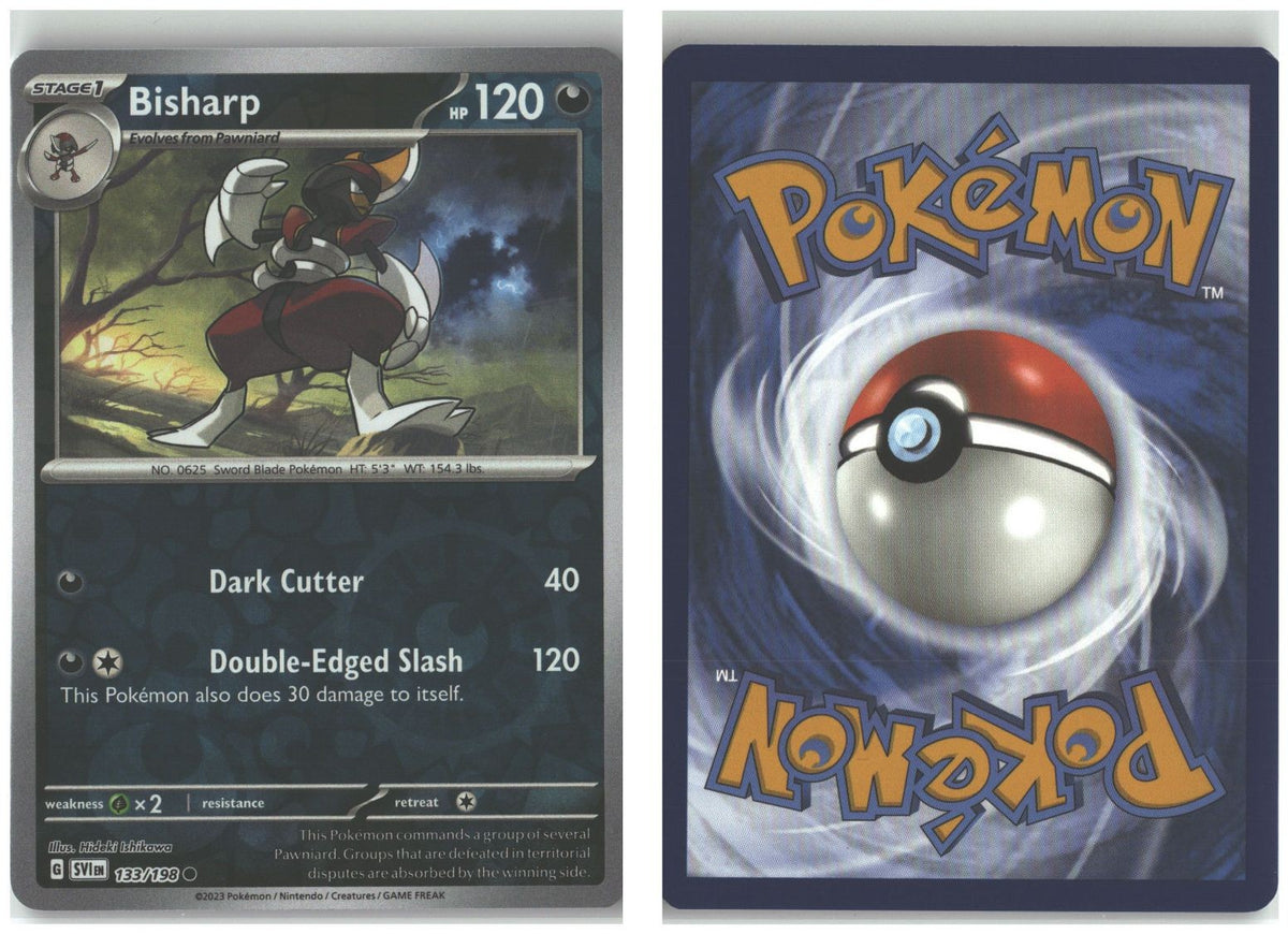 Front + Back scan