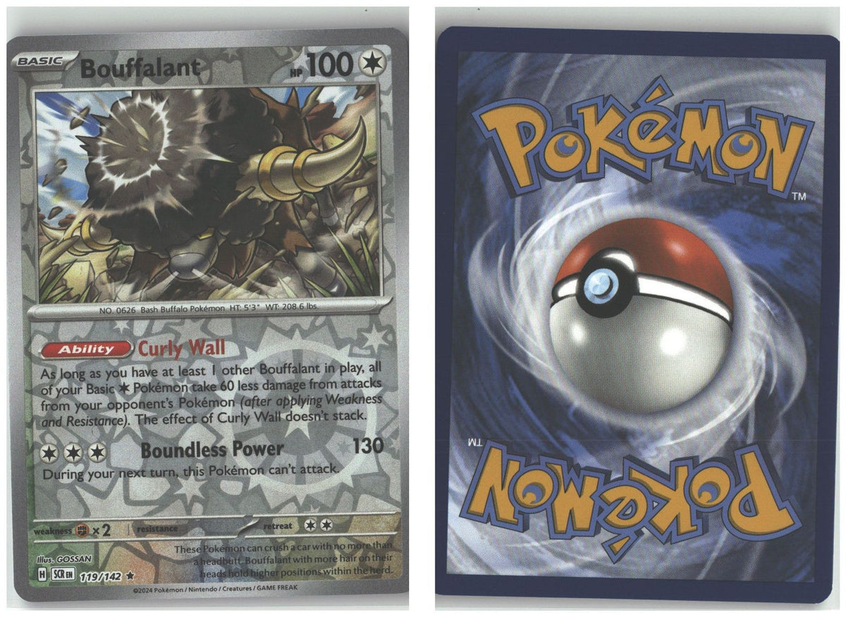 Front + Back scan