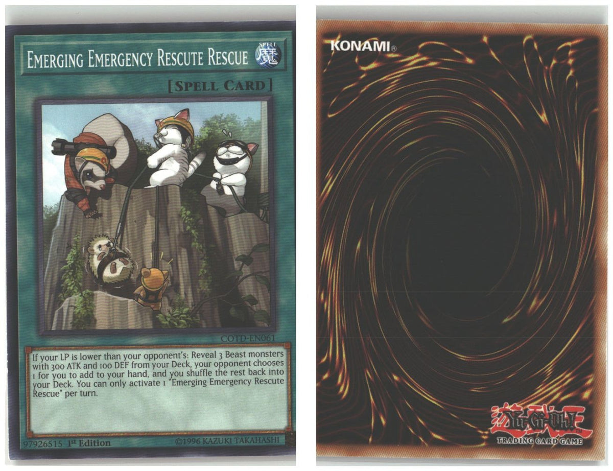 Front + Back scan
