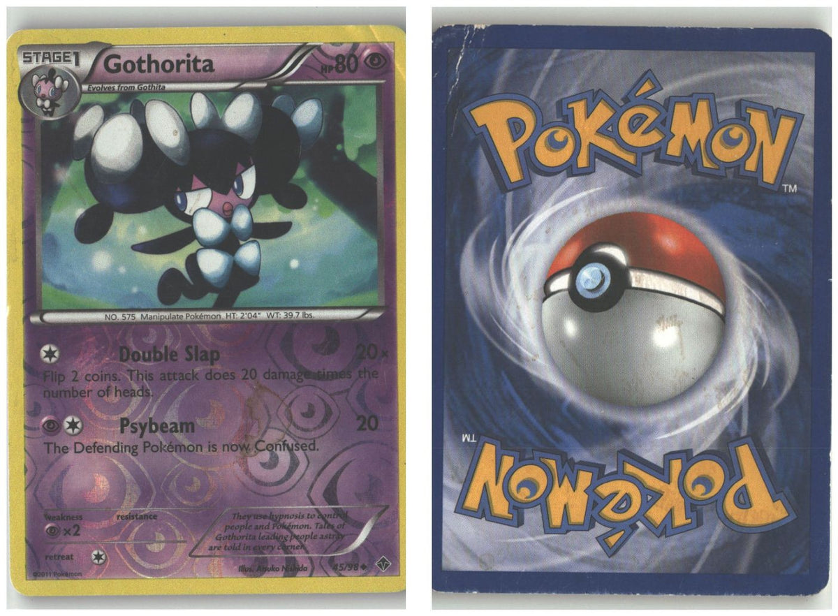 Front + Back scan