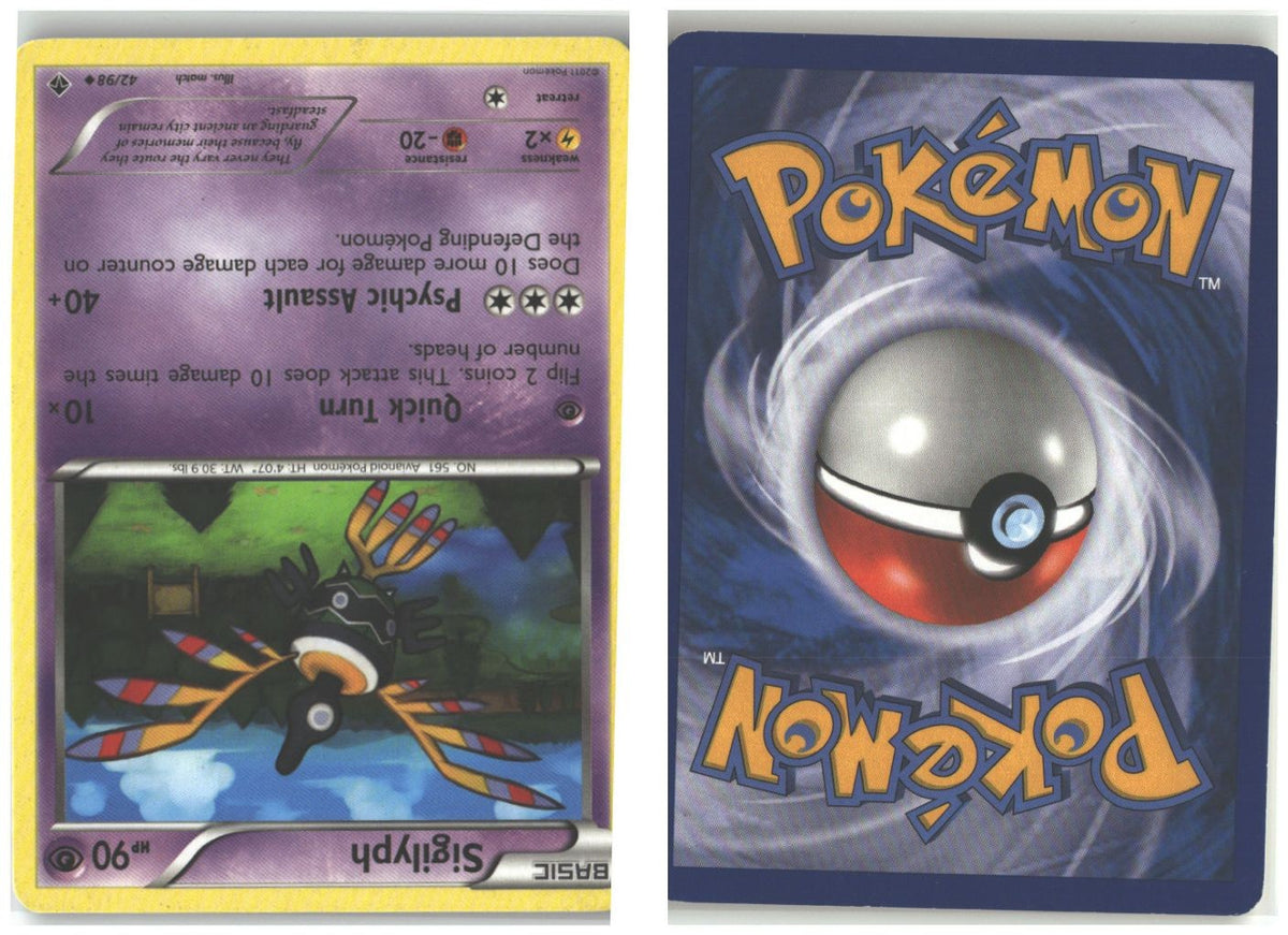 Front + Back scan