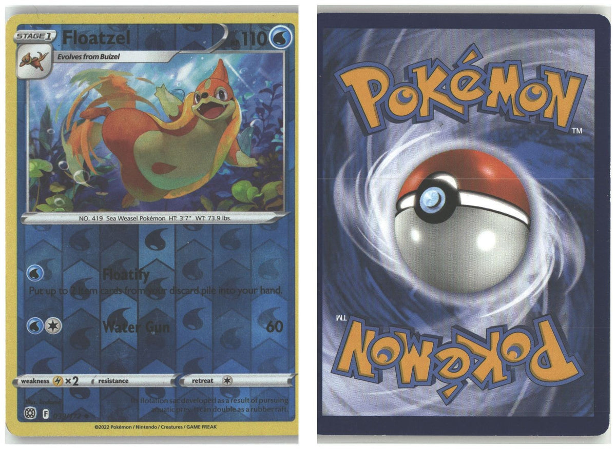 Front + Back scan