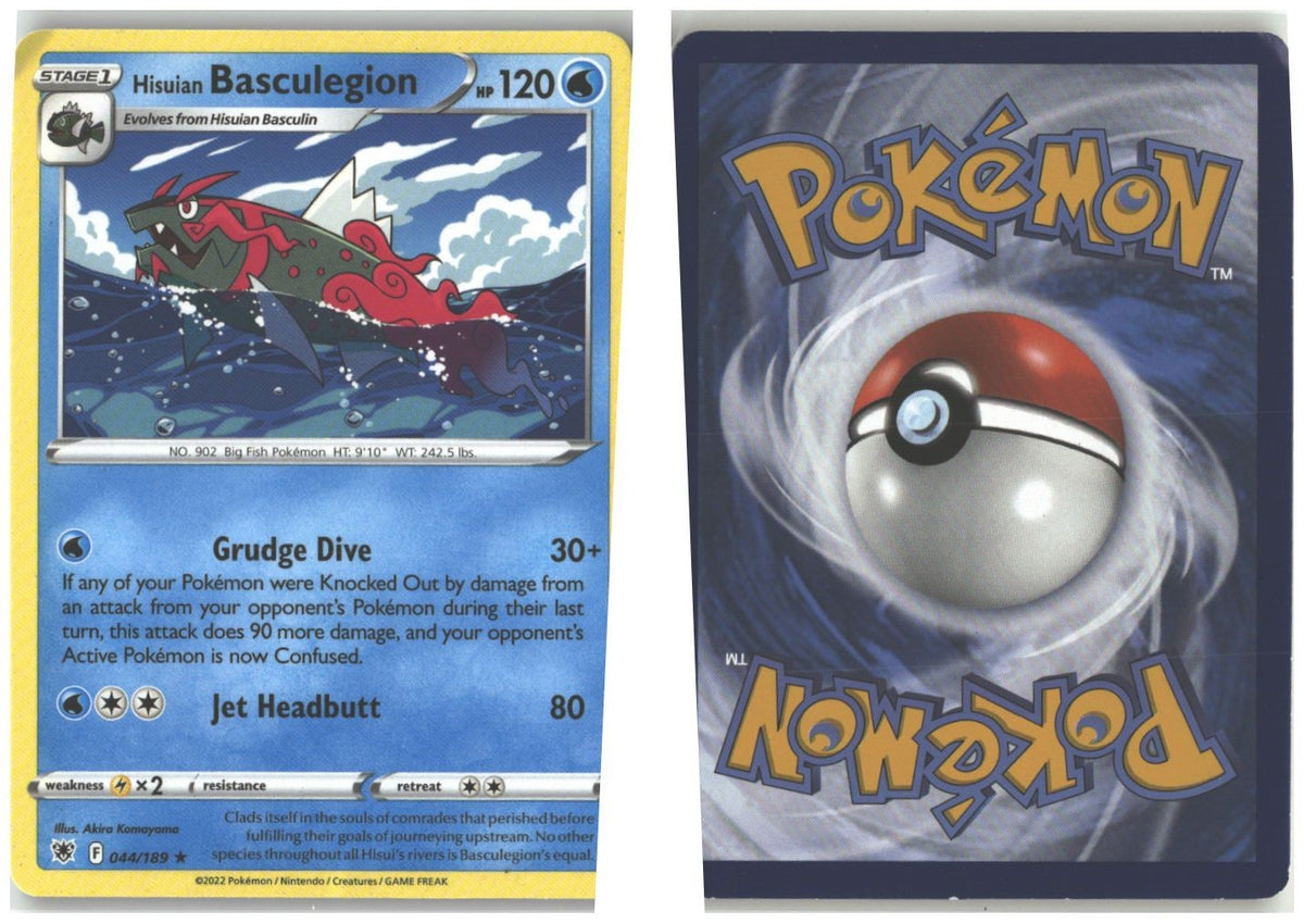 Front + Back scan