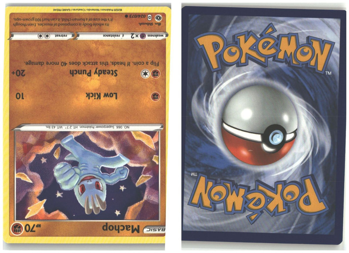 Front + Back scan