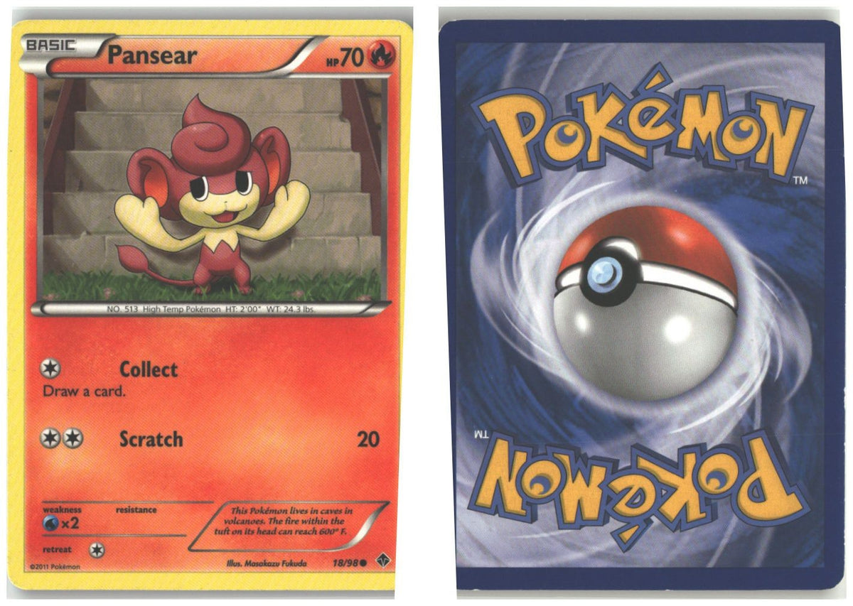 Front + Back scan