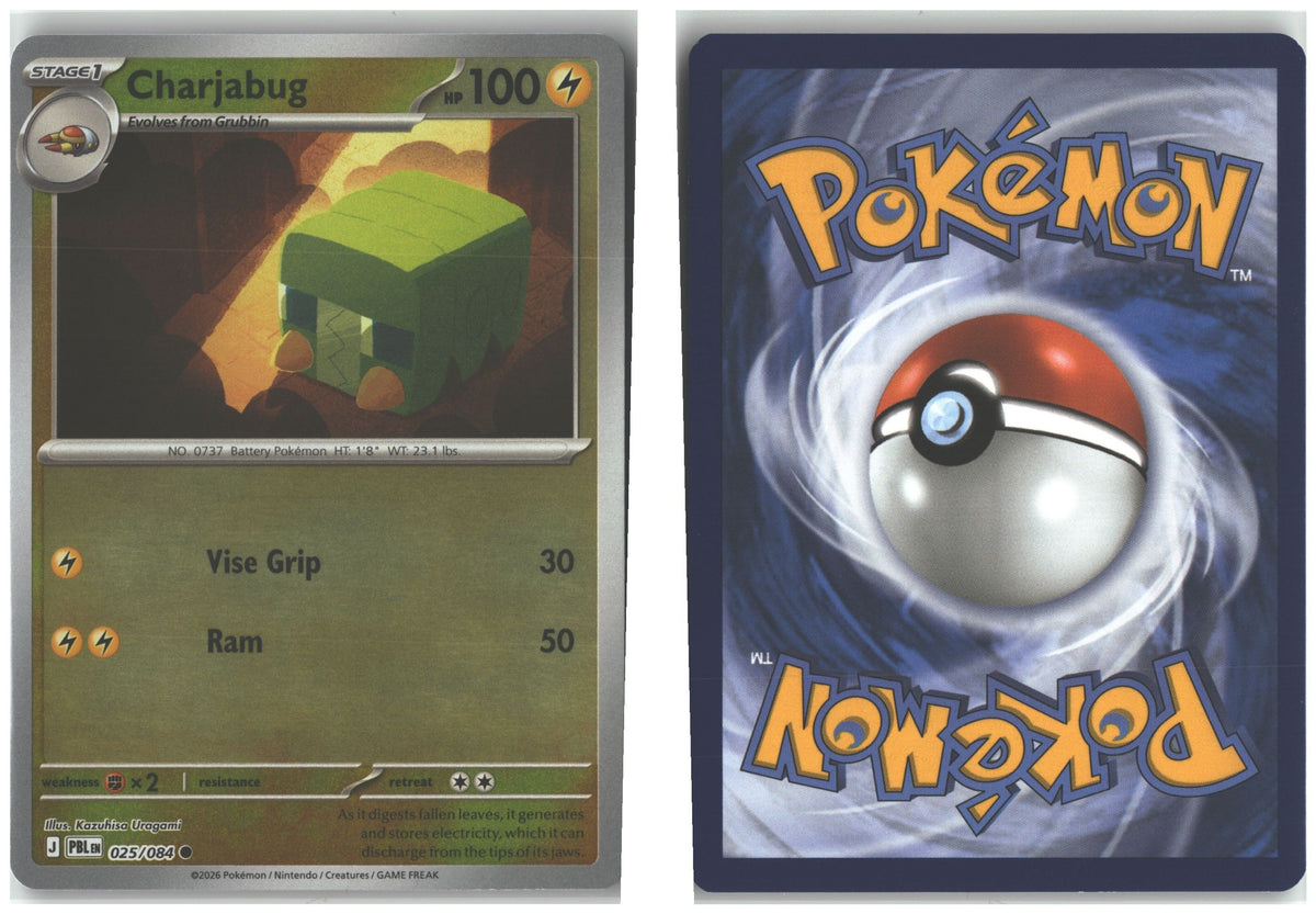 Front + Back scan