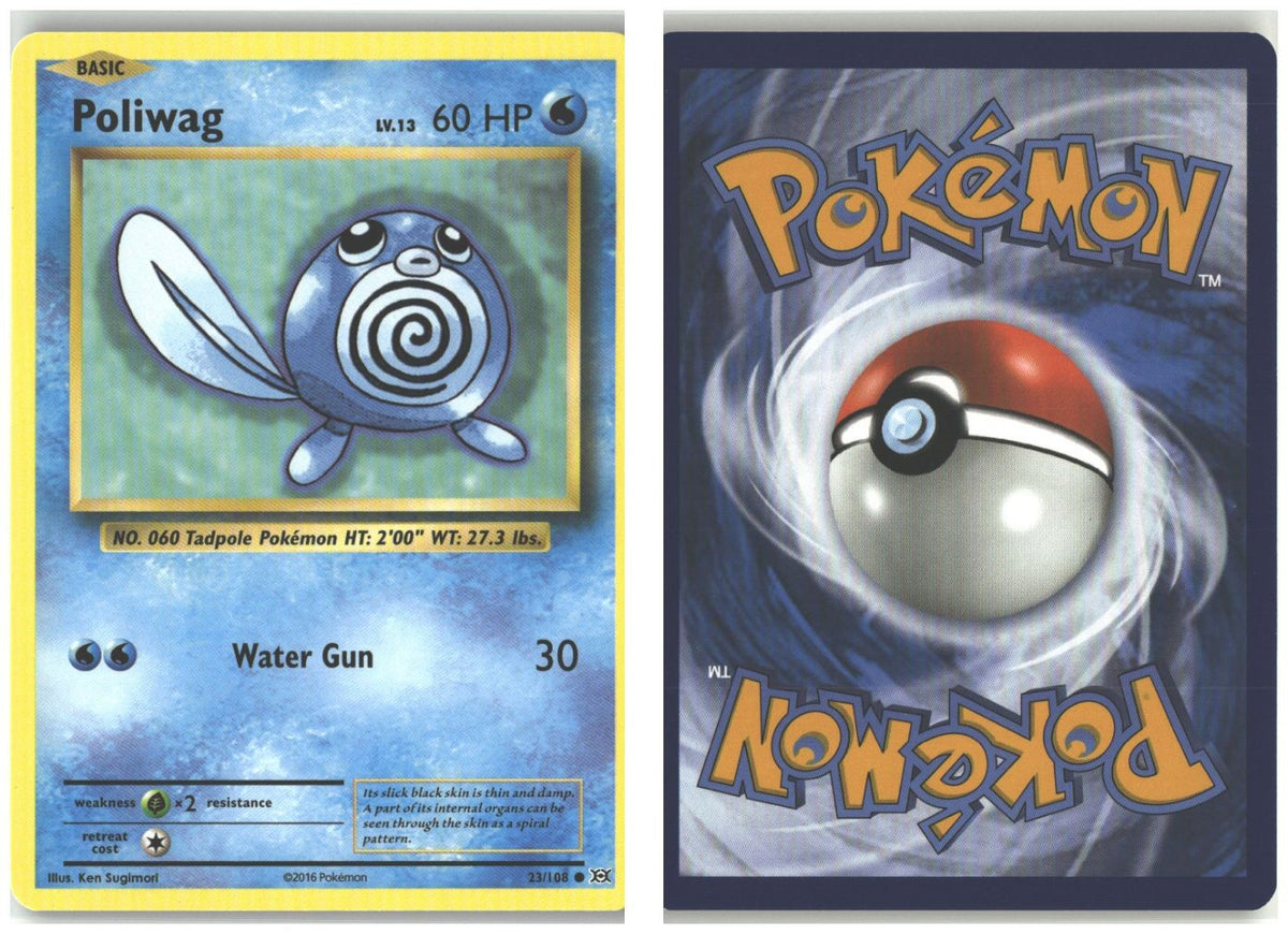 Front + Back scan