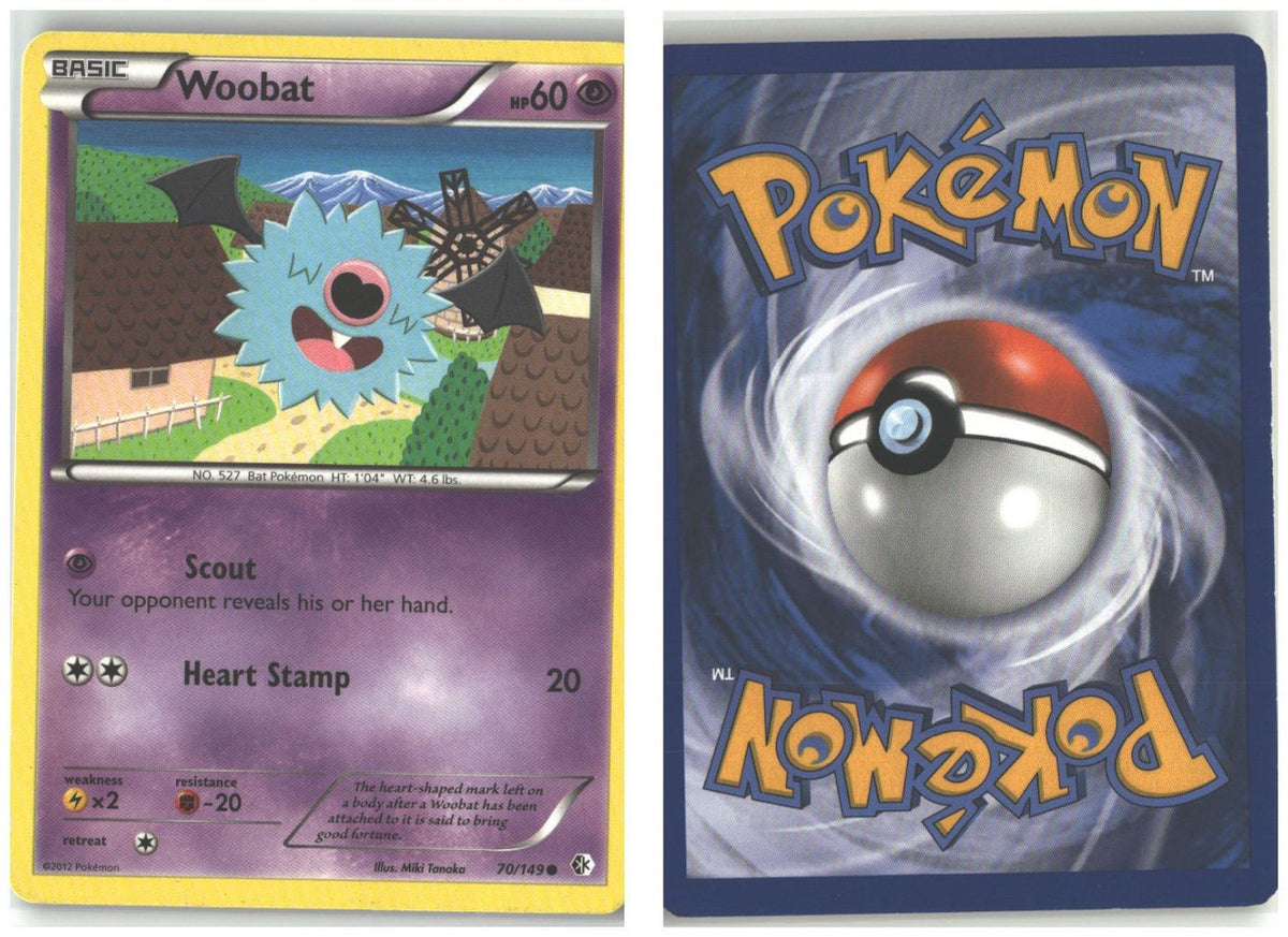 Front + Back scan