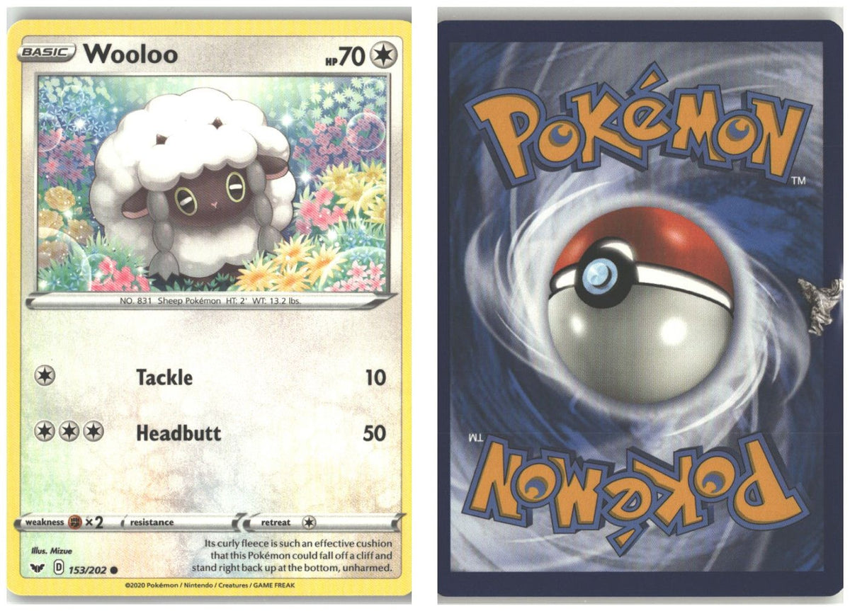 Front + Back scan