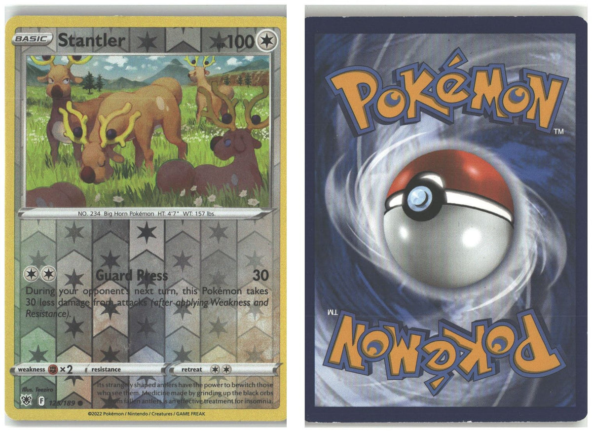 Front + Back scan