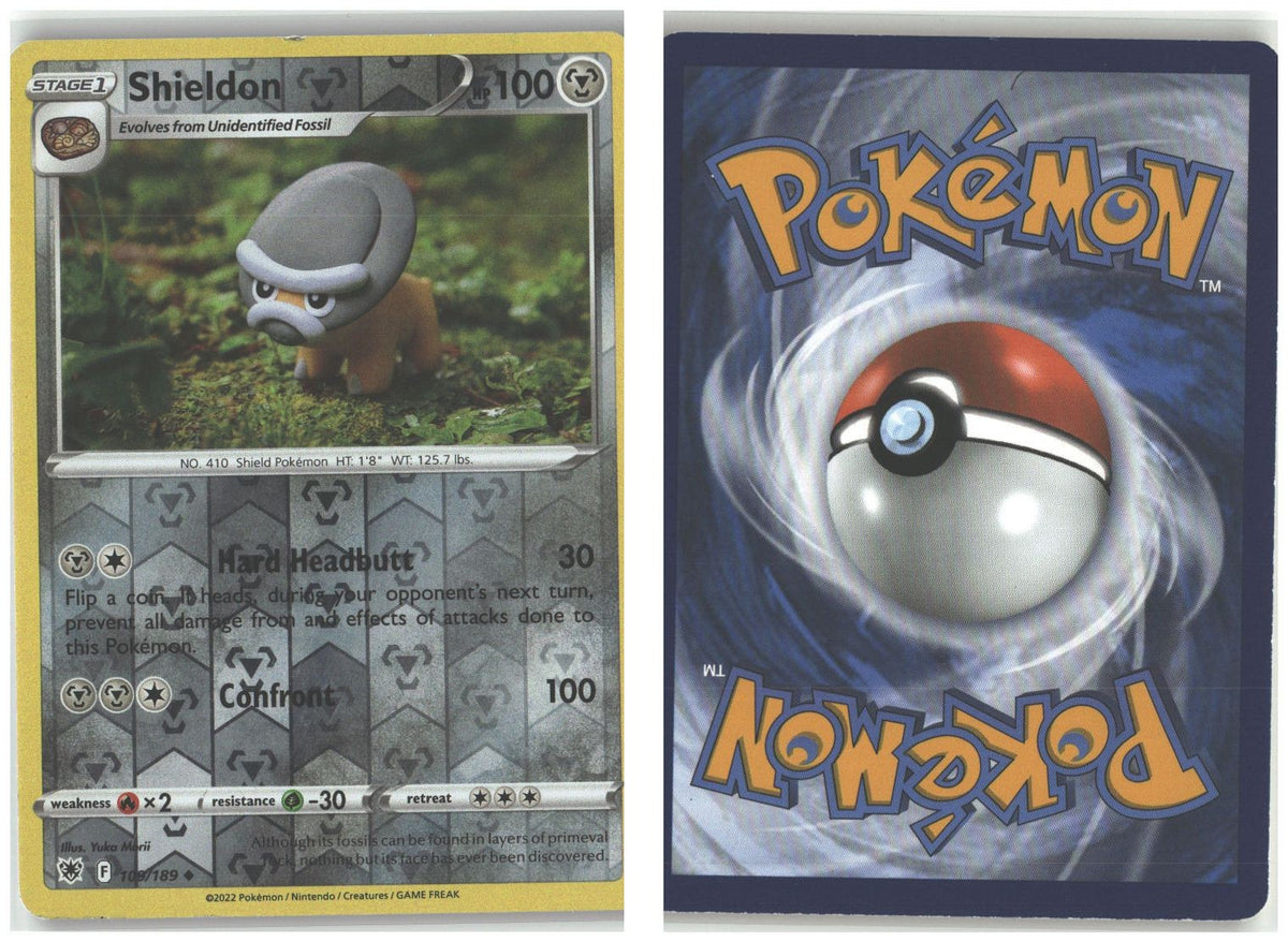 Front + Back scan
