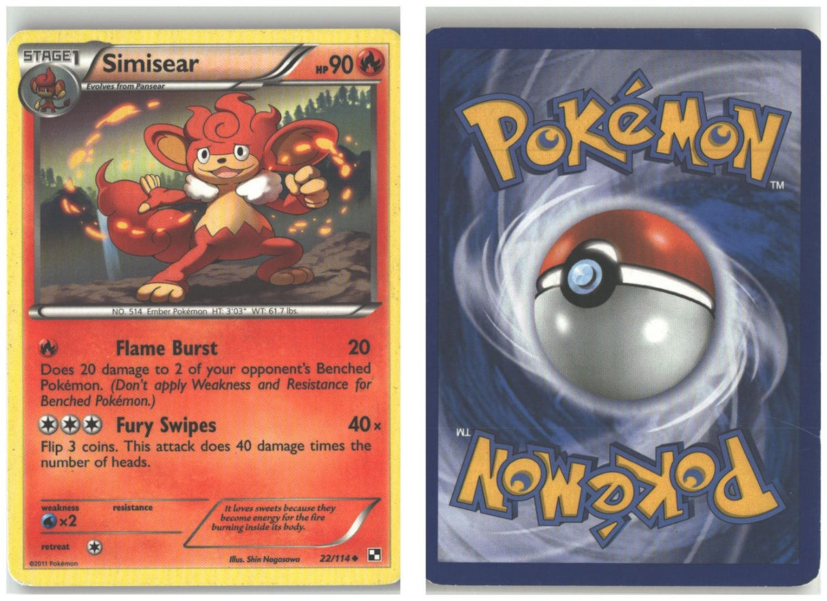 Front + Back scan