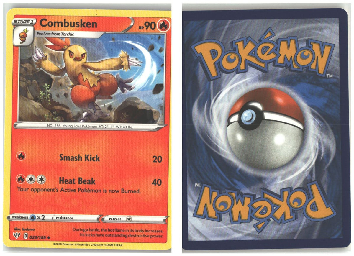 Front + Back scan
