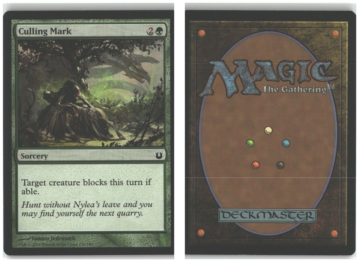 Front + Back scan