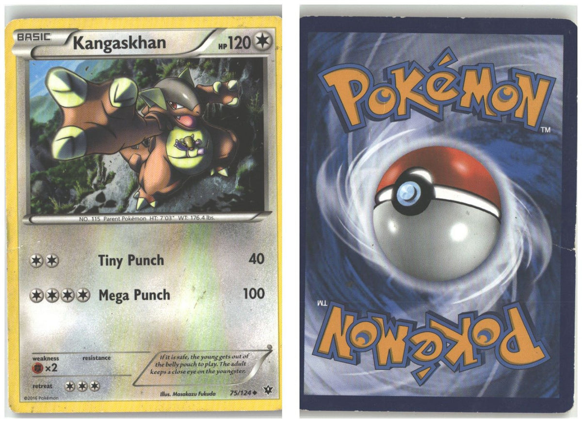 Front + Back scan