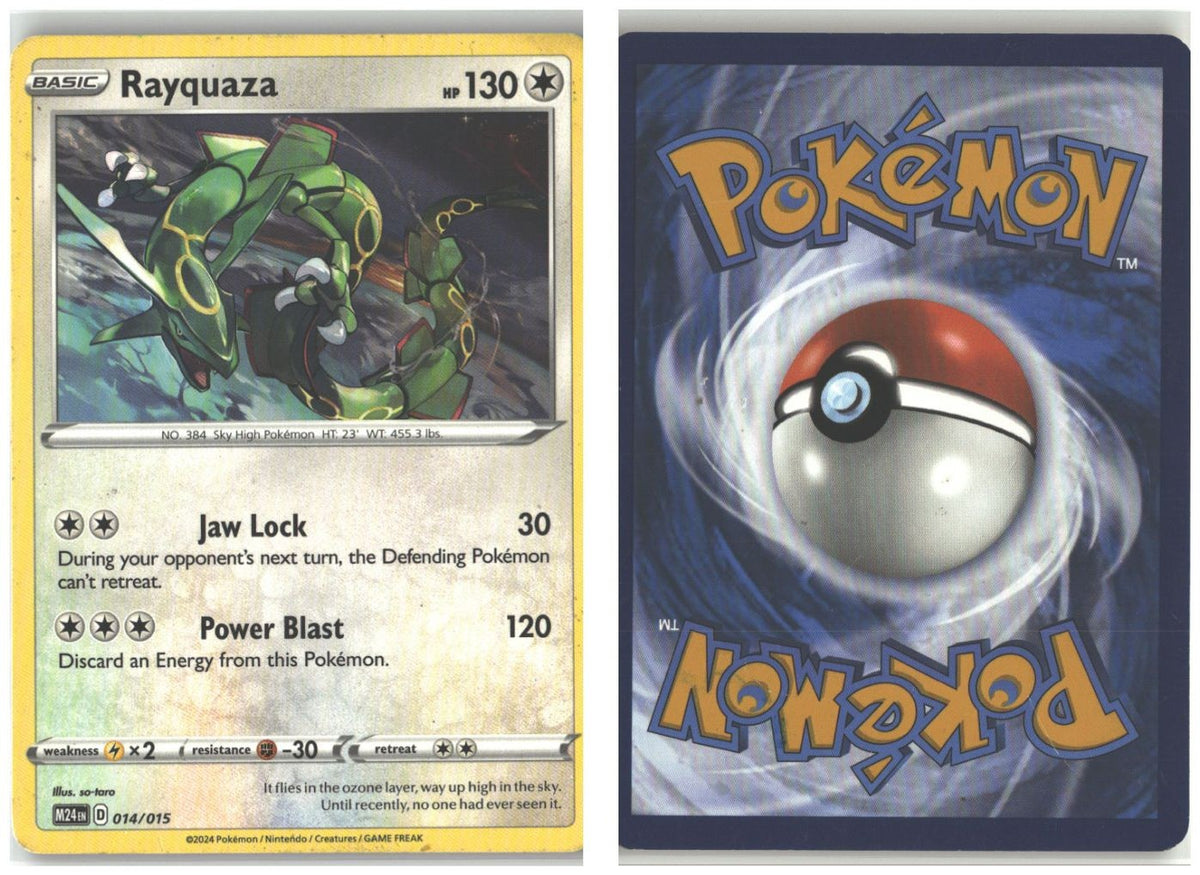 Front + Back scan