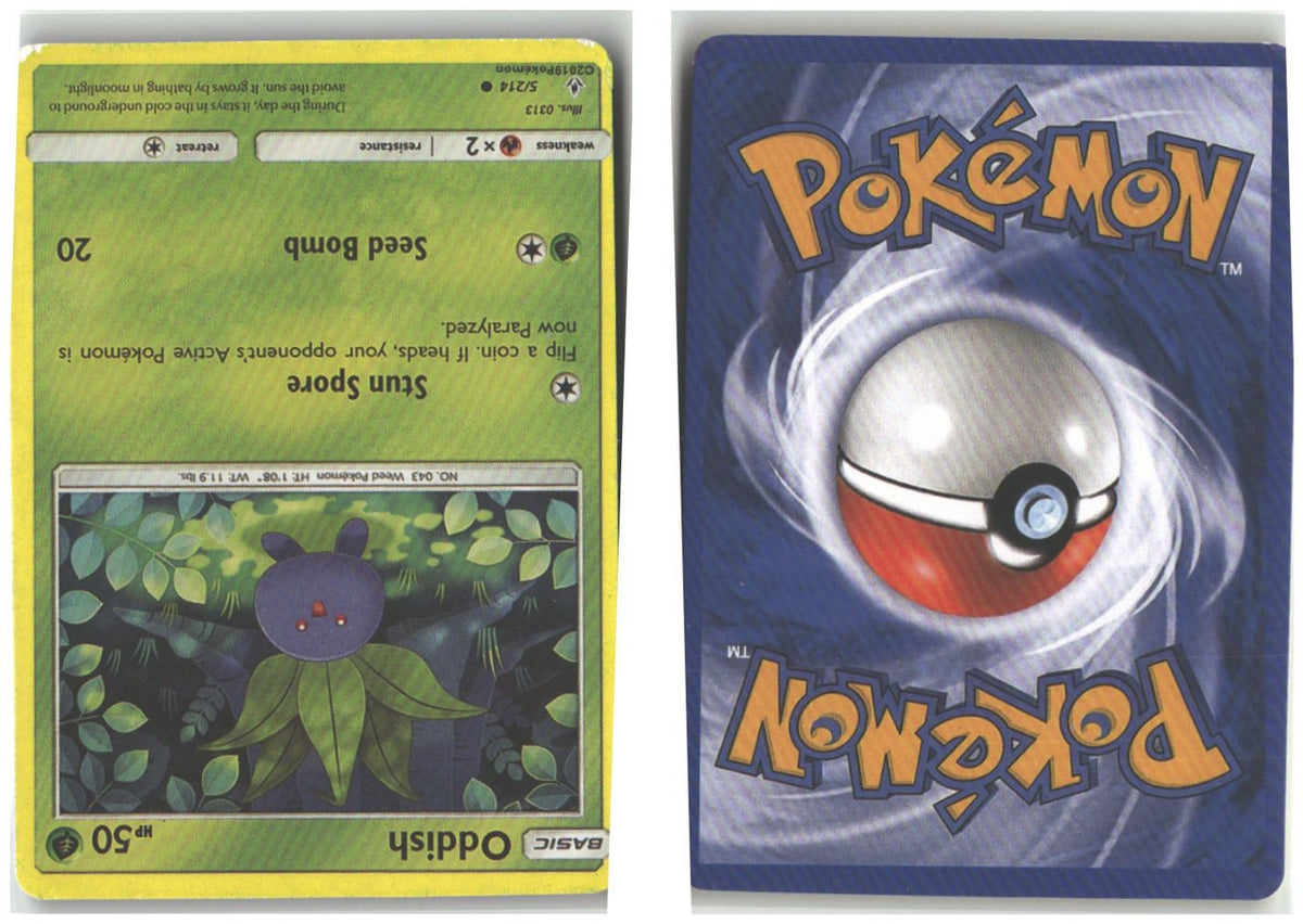 Front + Back scan