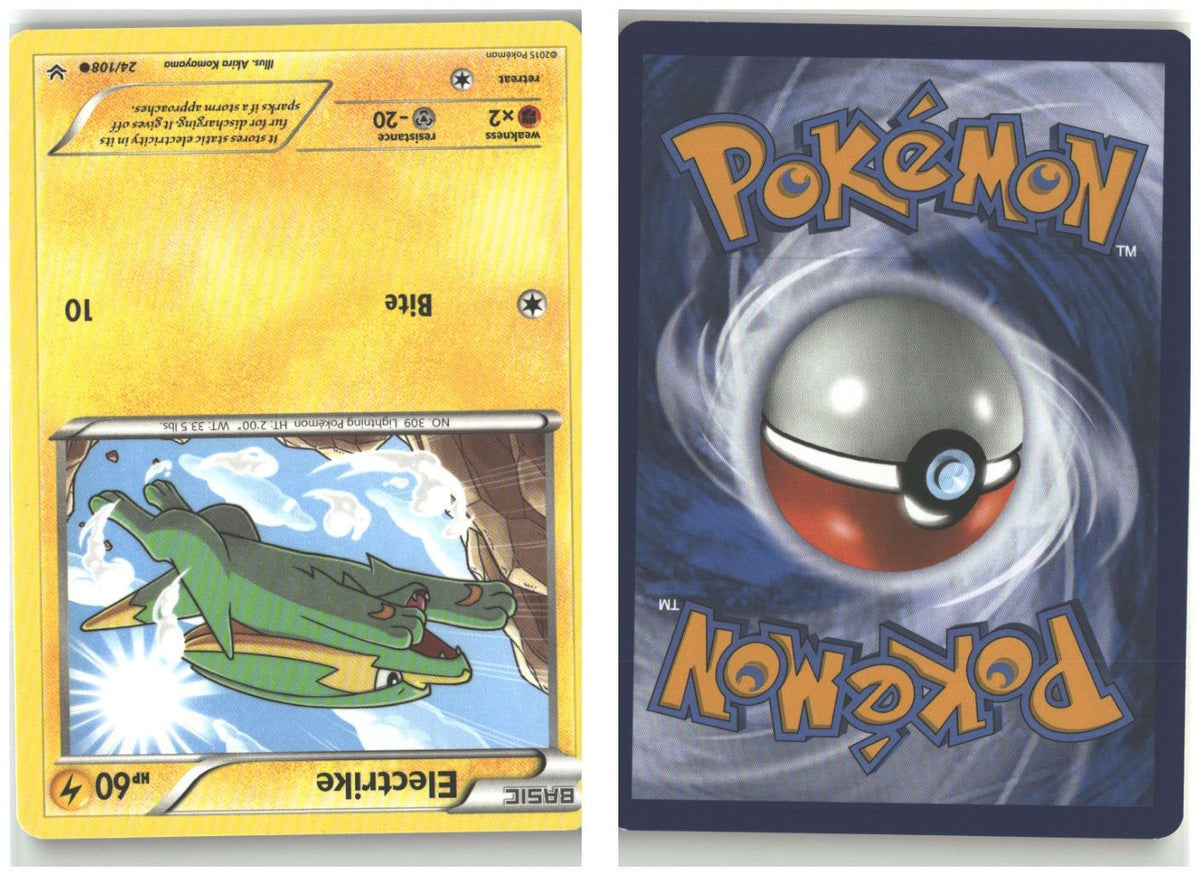 Front + Back scan
