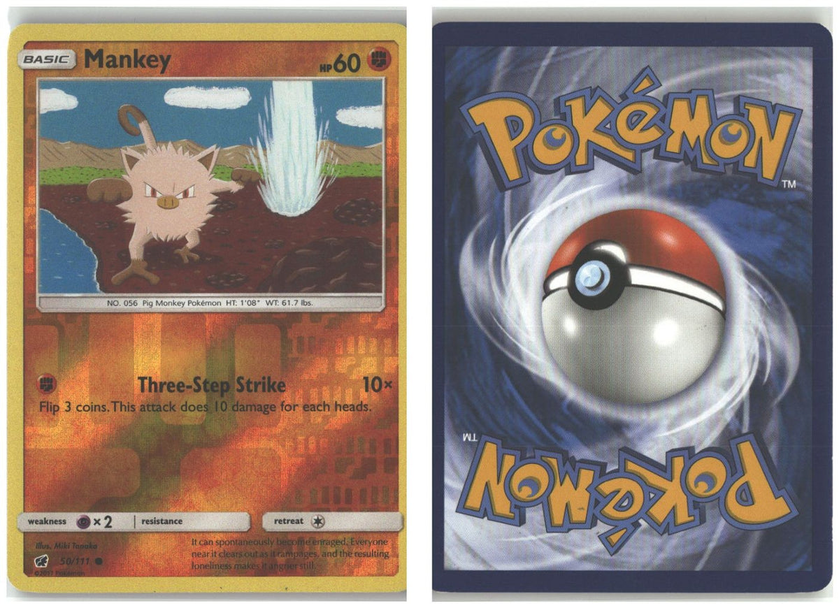 Front + Back scan