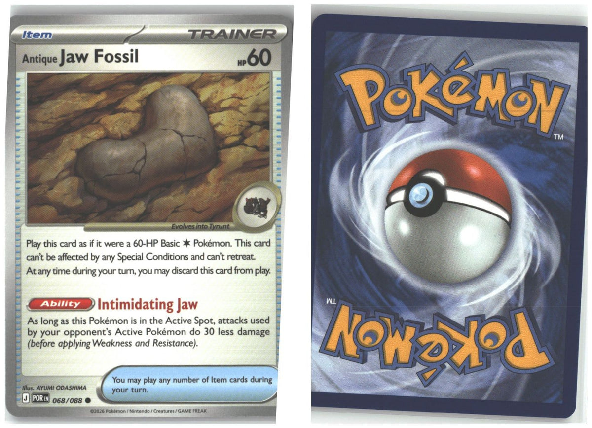 Front + Back scan