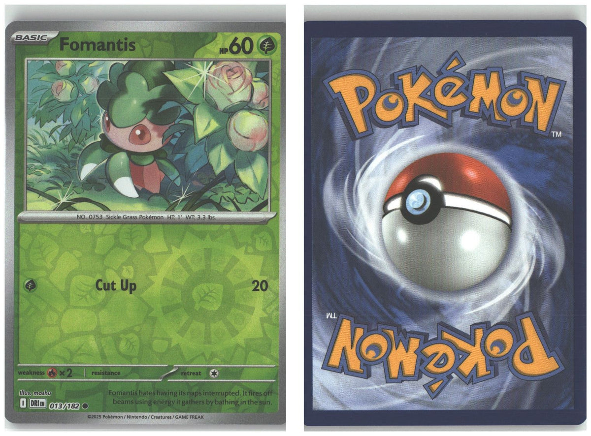 Front + Back scan