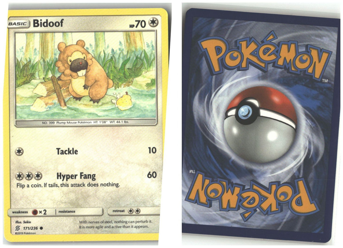 Front + Back scan