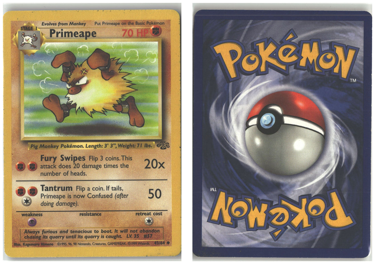 Front + Back scan