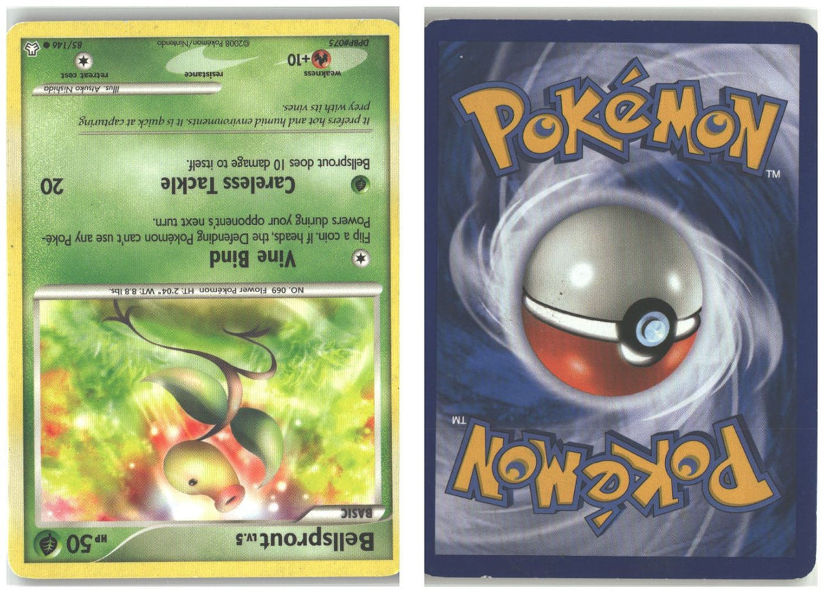 Front + Back scan