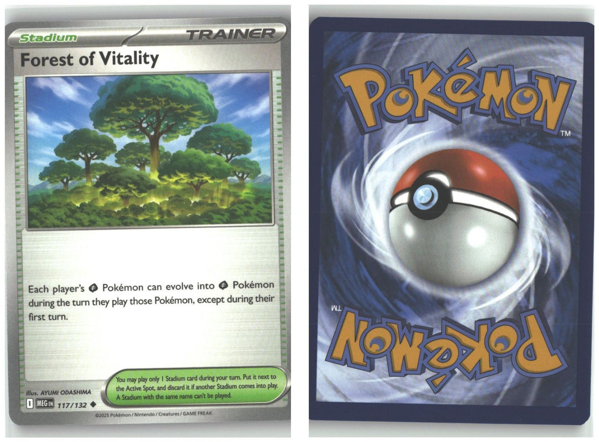 Front + Back scan